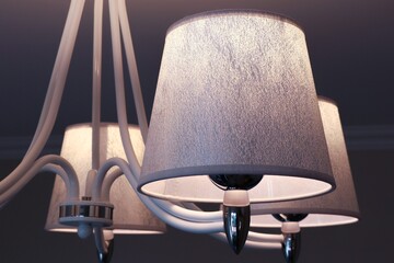Silver lampshade with bulb