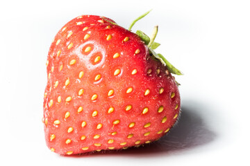 Strawberry - fresh red strawberry straight from the  farm