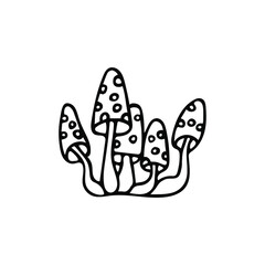 hand drawn fly agaric in doodle style.Vector stock illustration with single object: plant, hand drawn, doodle style.Sample element isolated on white. Line contour, outline. amanita for greeting card