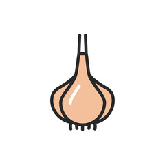 Garlic color line icon. Spice for cooking. Vector illustration