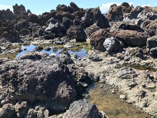 Hochauflösendes Foto einer Felslandschaft am Meer, Teneriffa Süd. Perfekt zum ausdrucken geeignet!