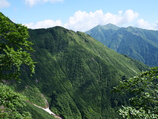 Obraz premium 谷川岳の天神尾根の登山道