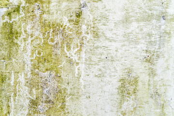 Old and grunge concrete or plaster wall with green moss patterns and cracks. High quality texture and background for your projects and creative work