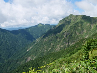 谷川岳の天神尾根の登山道