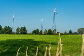 Wind turbines and grass