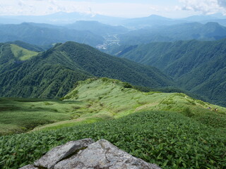 谷川岳の天神尾根の登山道