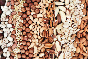 Colorful mix of various nuts: peanut and cashew, hazelnut and almond, pine nuts and walnut; healthy diet snack; vegan food background