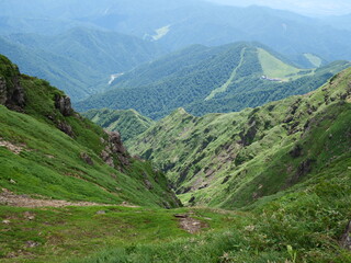 Obraz premium 谷川岳の天神尾根の登山道