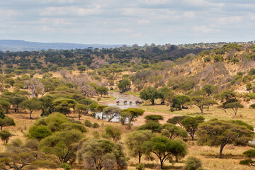 The landscape of Tarangire National Park, Tanzania