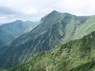 谷川岳の天神尾根の登山道