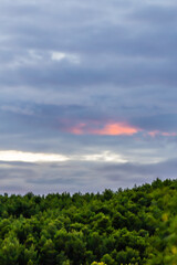 garden in Provence, in the fall, at sunset