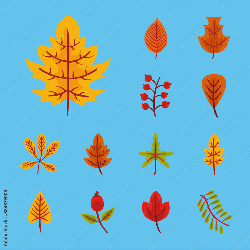 Poster bundle of sixteen autumn leaves flat style icons