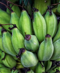 bananas on the market