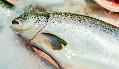 Fish put up for sale at a supermarket stall