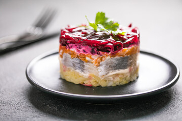 Shuba salad. Russian layered salad with beet, potato, carrot,  pickled herring and mayonnaise for Christmas dinner