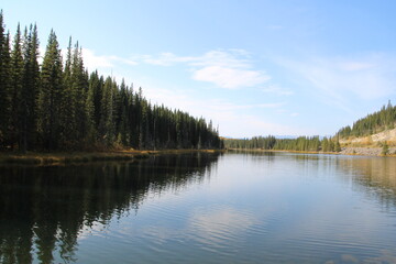 Calm On The Beaver Pond, Nordegg, Alberta