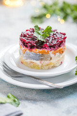 Shuba salad. Russian layered salad with beet, potato, carrot,  pickled herring and mayonnaise for Christmas dinner