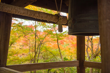 京都、圓光寺の紅葉