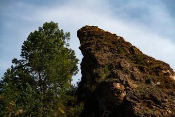 Fototapeta na wymiar A brown rock on a hill near a green tree.