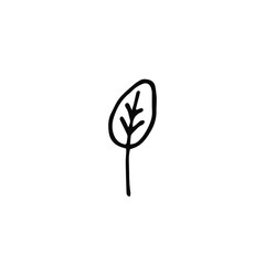 single hand drawn simple leaf in doodle style.single simple little leaf isolated on white background.illustration for greeting cards, posters, prints, stickers or seasonal design. Isolated nature icon