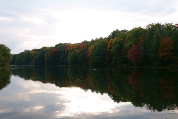 Autumn trees on the lake in Shchelkovo farm