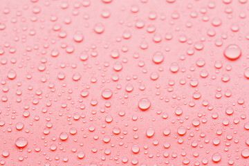 Pink abstract background with dew drops