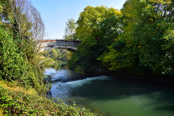 Fototapeta na wymiar river with vegetation reflections in autumn day