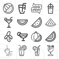 16 pack of digestive  lineal web icons set