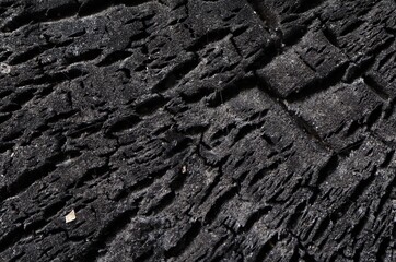 burnt wood texture
