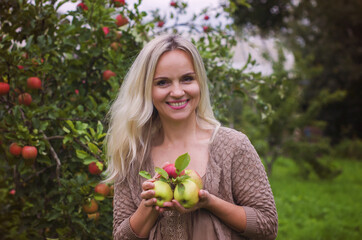 Woman of basket full ripe apples in a sunny garden. Blonde smiling woman is standing with full basket of organic apples in a sunlit orchard. Harvest and autumn concept