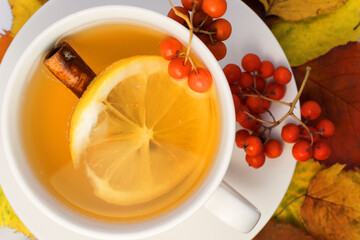 a Rowan branch hangs on a white Cup full of yellow tea with lemon and cinnamon. Natural vitamin....