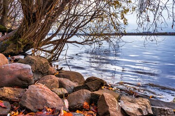 Nice view of the river with a rocky bank and trees with fallen leaves leaning to the water.