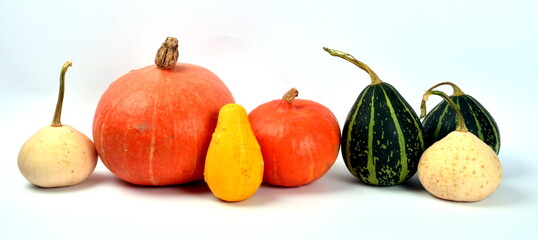 various colored pumpkins isolated on a white background