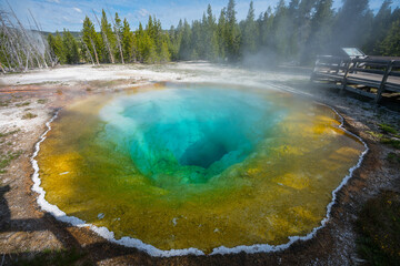 morning glory pool inupper geyser basin in yellowstone national park, wyoming in the usa