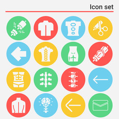 16 pack of vertebral canal  filled web icons set