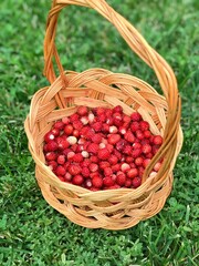 Fototapeta na wymiar currants in a basket Strawberry
