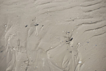 Beach pattern.