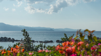 Spring on the coast.