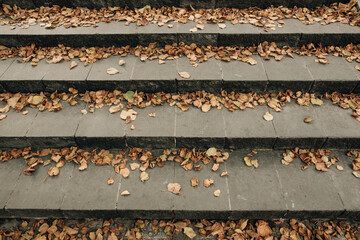 close-up of steps in yellow crumbling leaves. fall