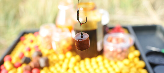 carp food with hook and mounting for big fish