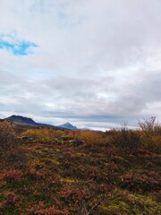 Fototapeta premium autumn in the mountains