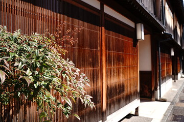 Plants and Japanese old architecture at Kanazawa Japan.