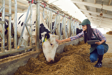 Smiling woman farmer in uniform sitting and touching cows forehead with paper for checking and notes