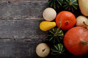 A group of colored pumpkins on a wooden background. Illustration of autumn harvest