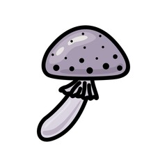 ISOLATED MUSHROOM ON A WHITE BACKGROUND