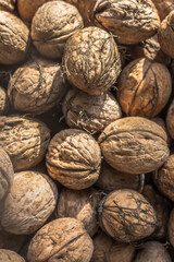Walnut in shell. Autumn seasonal products. Products for the reproductive health of men. Nutshell texture. Folic acid source. Walnut oil. Healthy eating. Strengthening the immune system.
