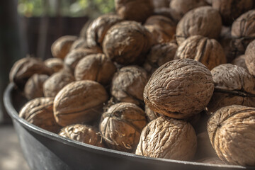 Walnut in shell. Autumn seasonal products. Products for the reproductive health of men. Nutshell texture. Folic acid source. Walnut oil. Healthy eating. Strengthening the immune system.