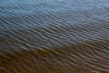 The ripples in the water surface.