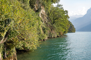 Ufer des Vierwaldstättersees bei der Tellskapelle, bei Sisikon, Kanton Uri, Schweiz