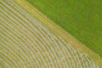 Fields of Green in Bavaria
